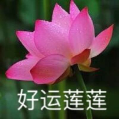 浙江湖州：反诈宣传进社区